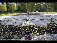 Прованская чистая функция