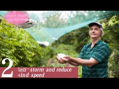 Управление анти- насекомого чистое зеленое чистое изготовляя компьютеризированное машиной