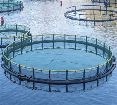 Усовершенствованная машина для изготовления рыболовных сетей без узлов для быстрого и точного производства