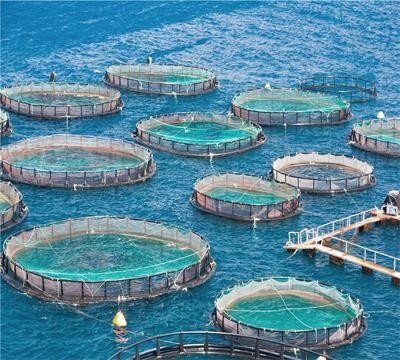 Лучшая без узлов глубоководная рыболовная сетка