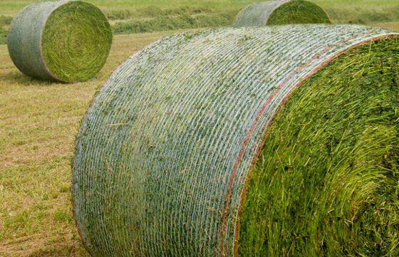 Машина для вязания сельскохозяйственной сетки из HDPE 7500 Вт